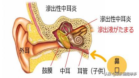 最新疼,痛感新前沿，体验前沿痛觉研究。