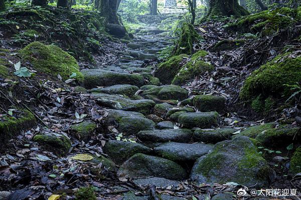 哀牢山,哀牢山：千年古道见证历史变迁