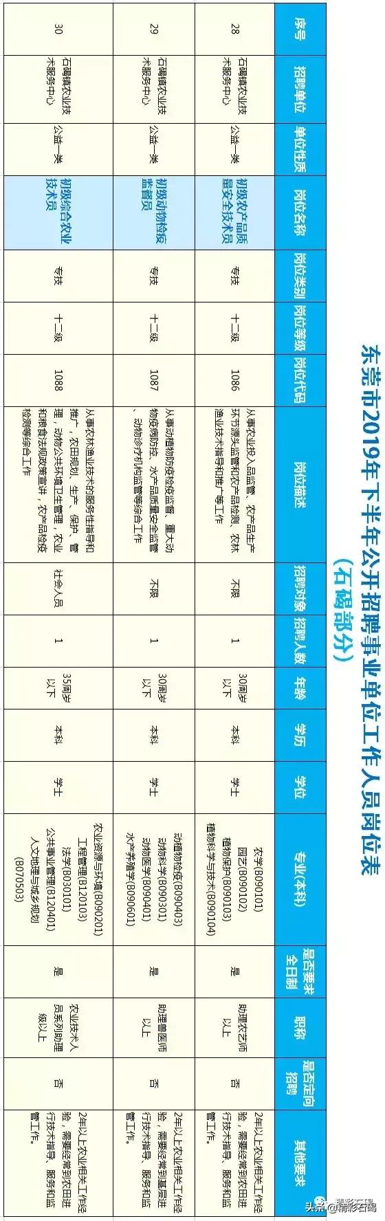 石碣最新招聘信息,石碣地区最新企业职位速递！