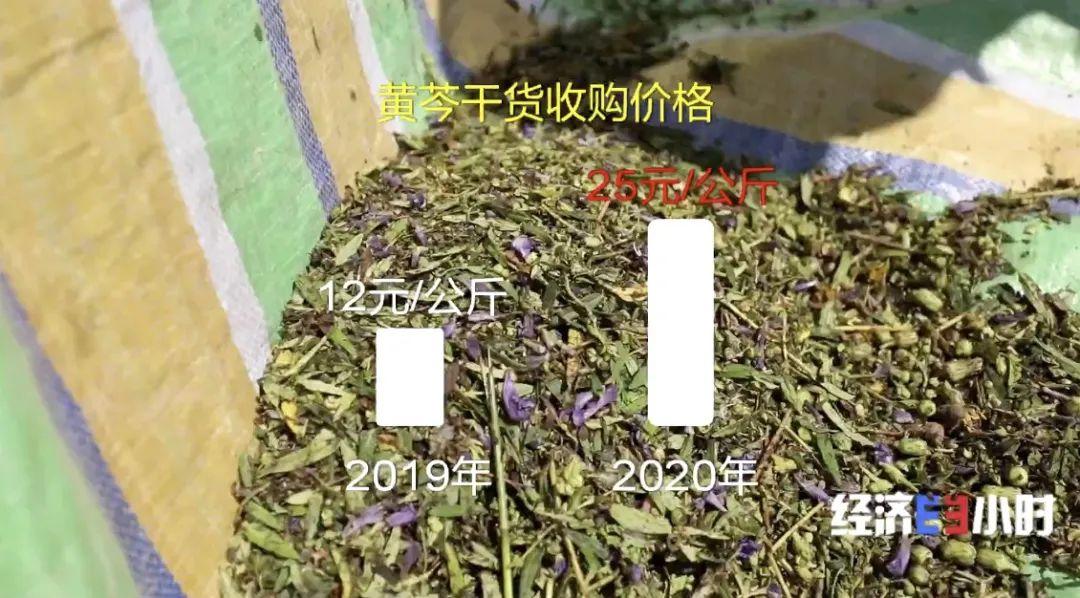 黄芩最新价格,黄芩现时售价