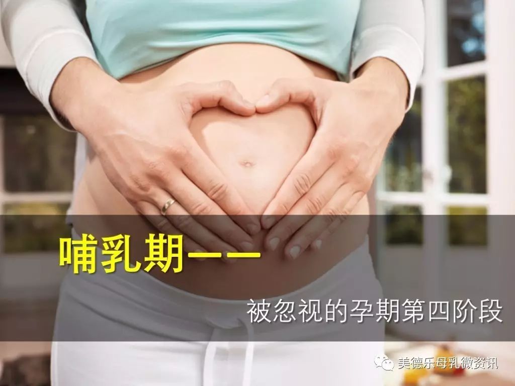 母乳最新先锋,母乳喂养领域的最新佼佼者