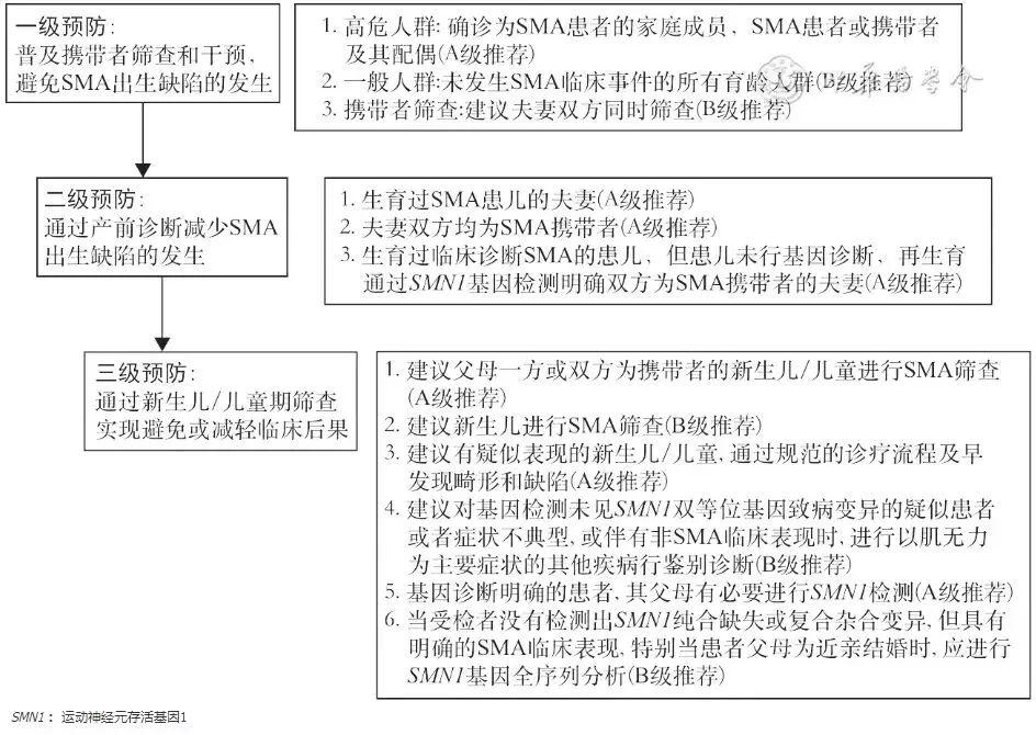 sma最新治疗方法,“探索sma疾病新突破的治疗策略。”