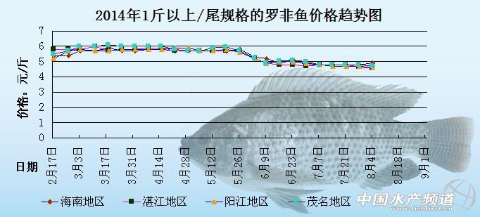 鲫鱼最新价格,近期鲫鱼市价波动明显。