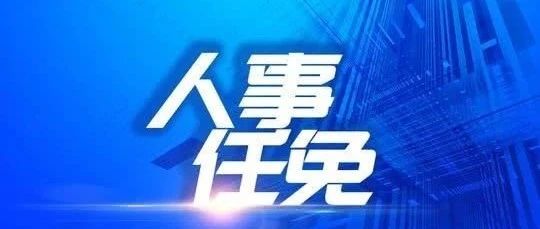 石家庄市最新人事任免,石家庄市政府最新一波人事调整动态。