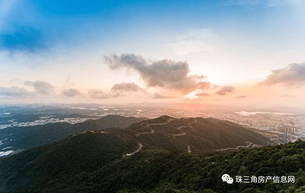 最新版熊大,业界热议的全新版熊大震撼来袭！