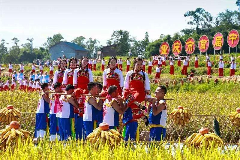 湖北卫视五谷丰登最新,湖北卫视播报的五谷丰登资讯新鲜出炉。