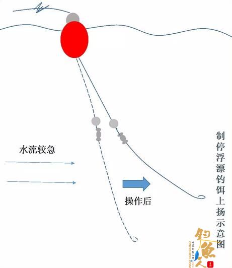 最新钓法,创新钓技引领潮流