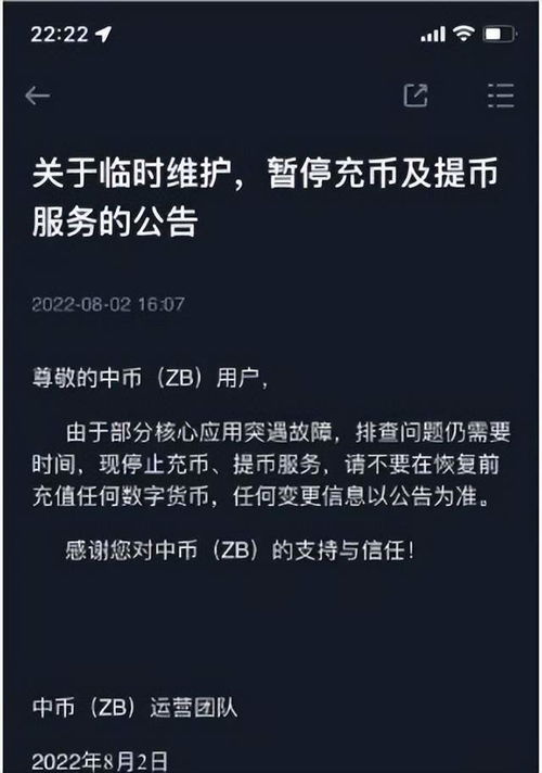 探索070022最新净值查询背后的秘密，揭开投资潜力与风险的真实面纱