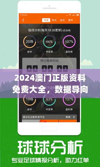 2024港澳宝典正版资料,揭示背后的真相与风险_主力版D65.921