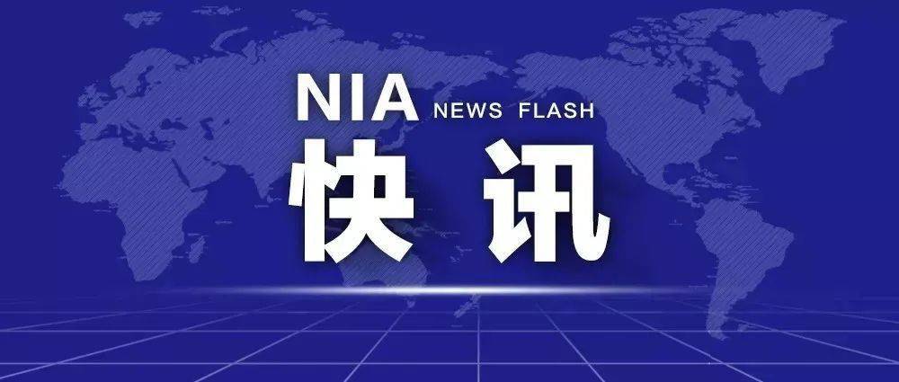 2024年澳门天天开好大全,乐观解答解释落实_精准版O99.235