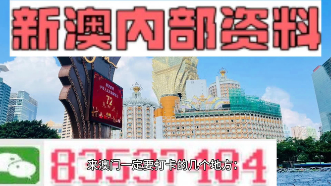 2024年澳门的资料热,重要性解析方案方法_影像款Z78.736