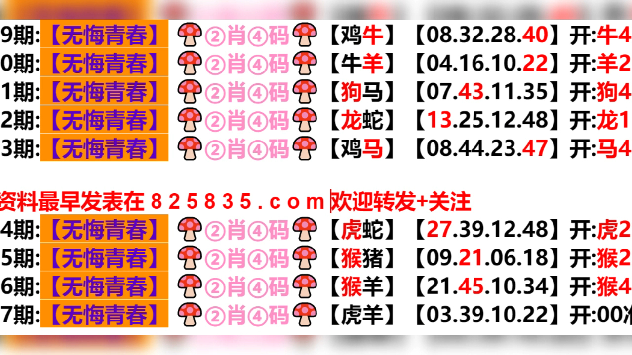 2024澳门天天开好彩大全53期,解新泛划落释性释_黄进潮Z71.249