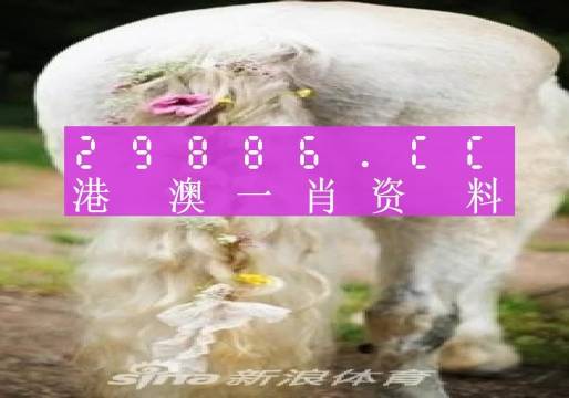 澳门一肖一码100准202ⅰ,深度现象解释分析解答_限量版J54.214