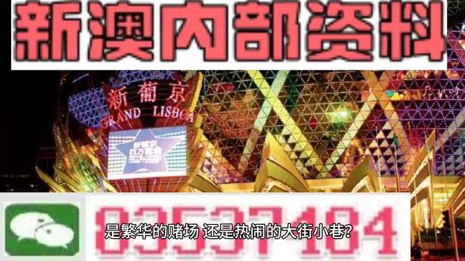 2024新澳最精准资料,探索彩票的魅力与期待_中等款O28.682