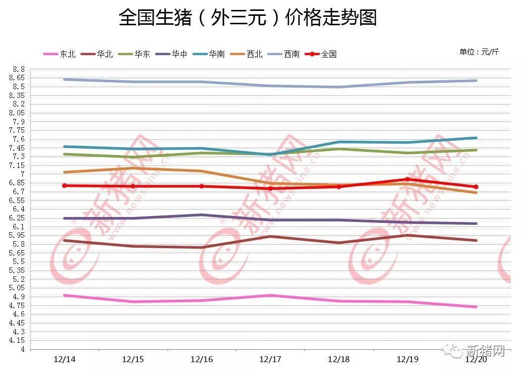 泗县最新生猪价格,泗县生猪市场价格动态