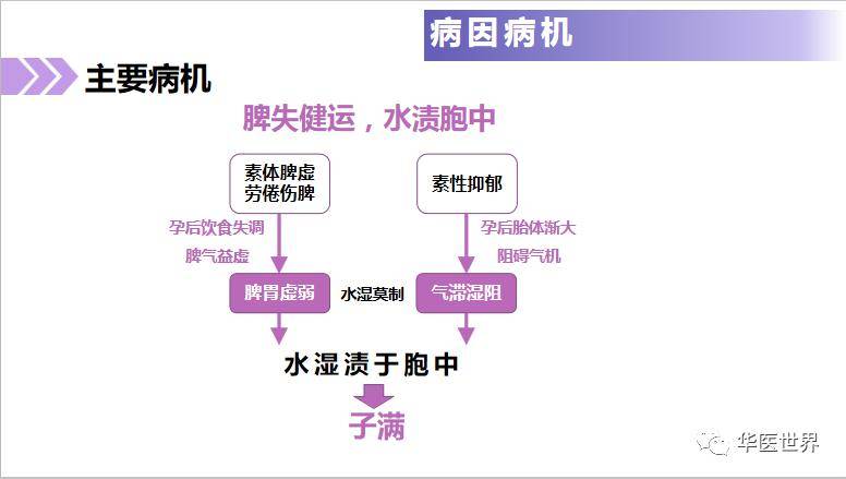 4949澳门免费精准大全,直观解答方案解析解释_稀缺版P11.509