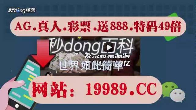 2024澳门天天开好彩免费大全,即刻解答解释落实_实习款J69.66