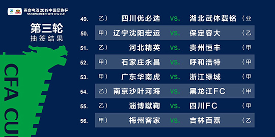 新澳2024年精准资料32期,探索背后的真相与警示_战斗版U61.345