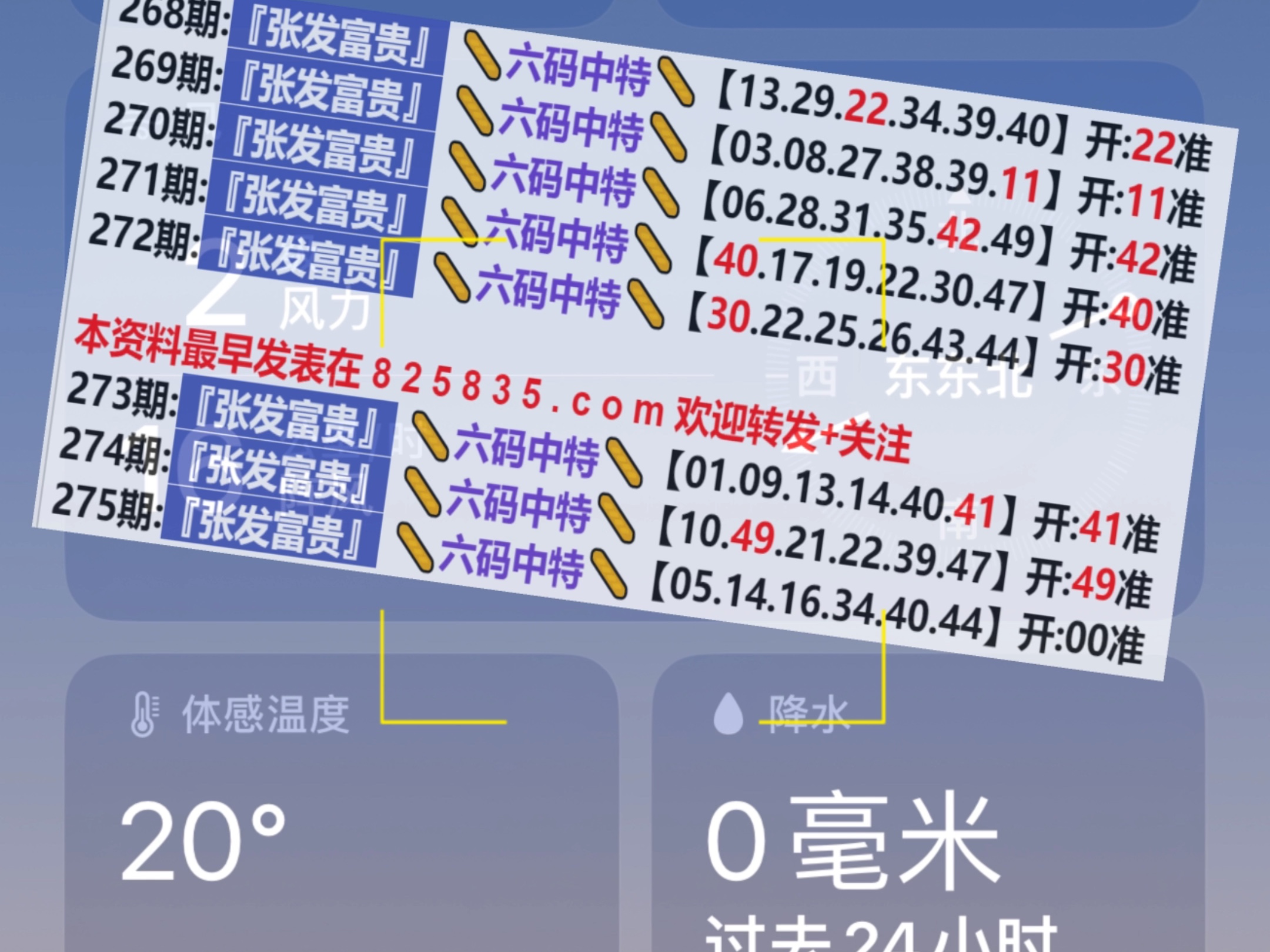 2024年新奥门天天开彩免费资料,全面分析解答解释现象_可靠集Z38.6