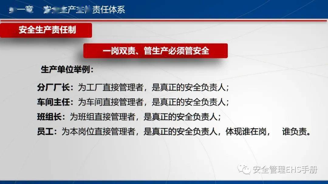 新澳门资料大全正版资料2024年免费下载,风险规避解析落实_终身版Q13.439