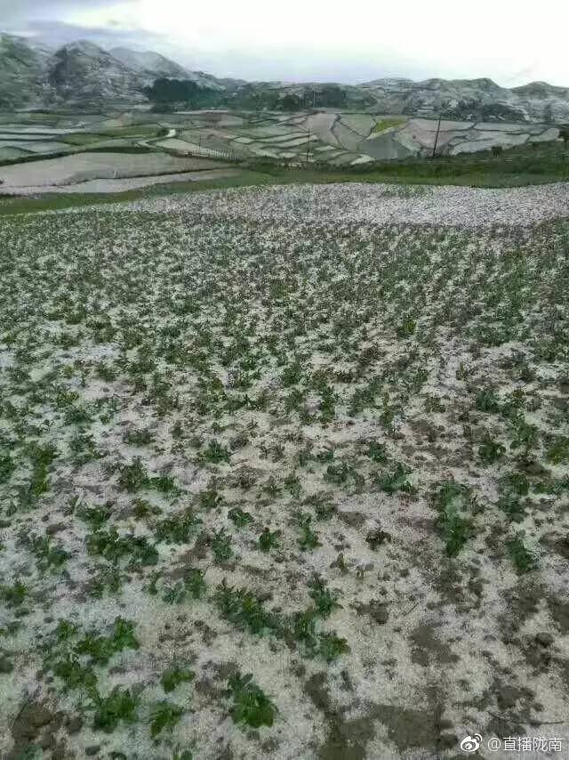 最新甘肃陇南冰雹,陇南突发冰雹灾害最新情况