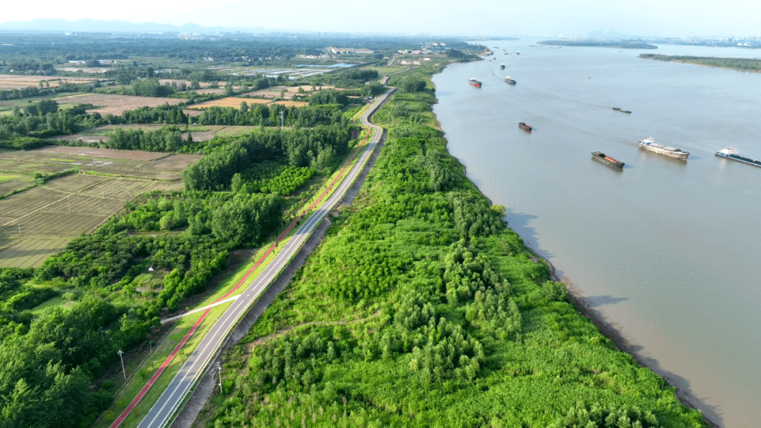 浦口乌江最新动态追踪