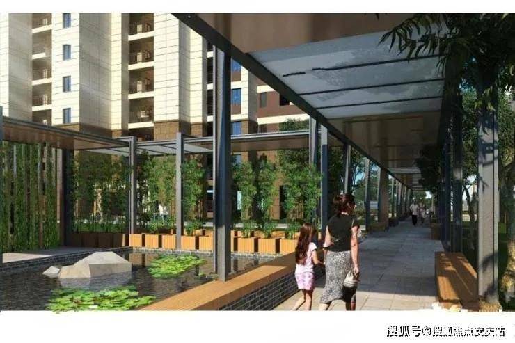 宁波林建华最新动态解析