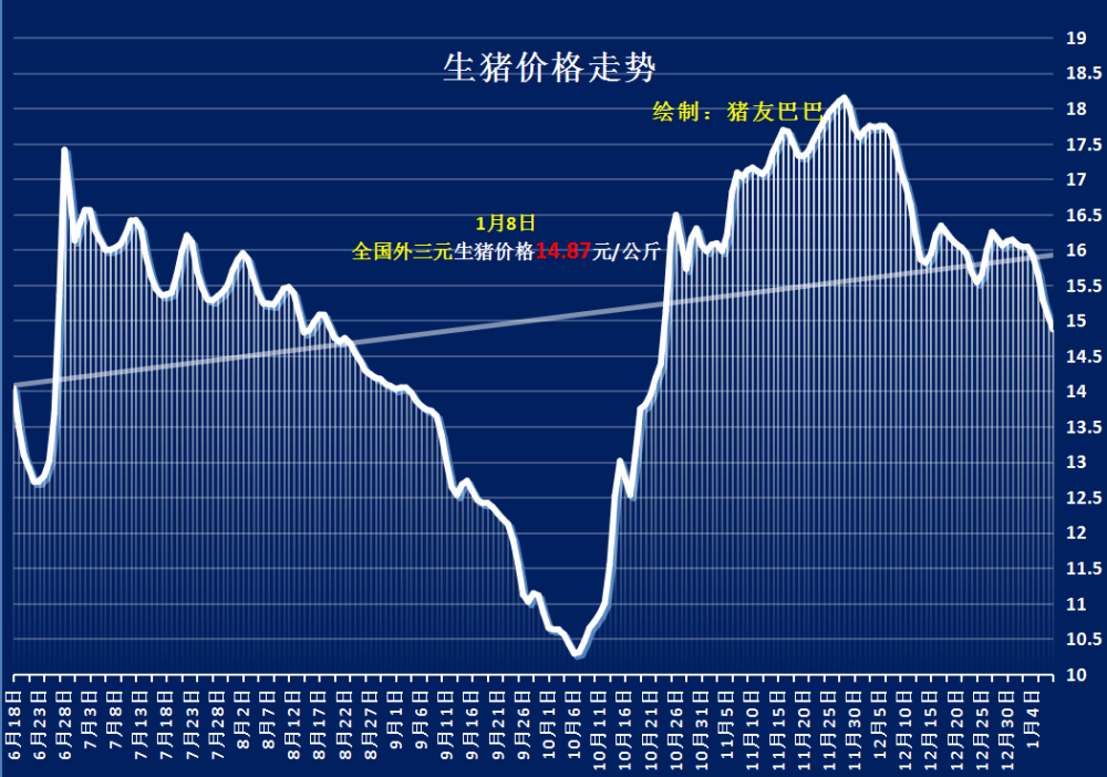 今日山东最新玉米价格实时动态揭晓