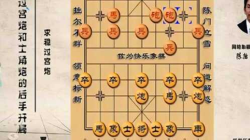 佐为最新象棋讲座全集——深度解析棋艺精髓，全方位提升实战技巧